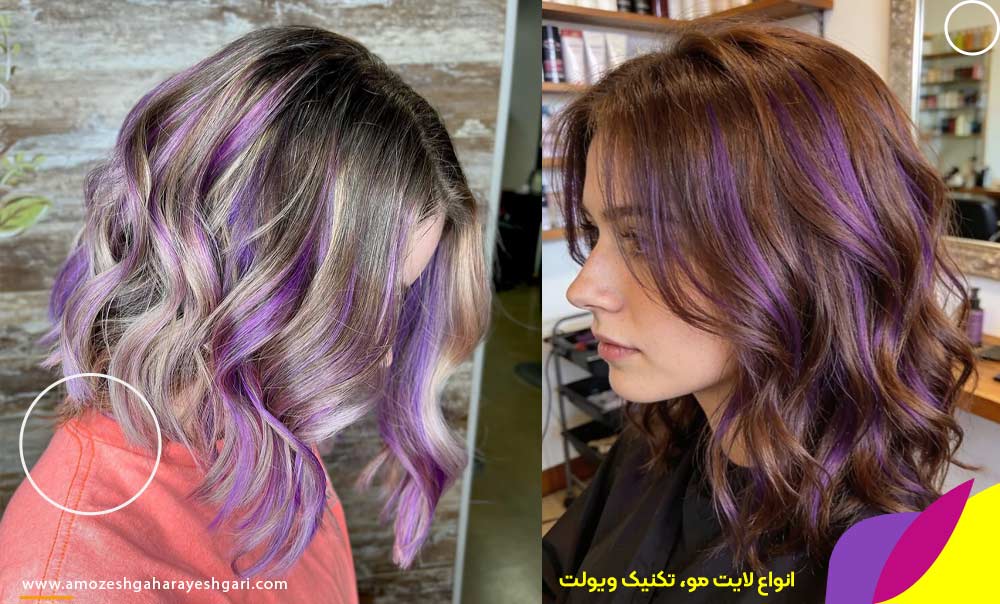 ویولایت