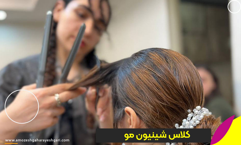 آموزشگاه شینیون مو در تهران