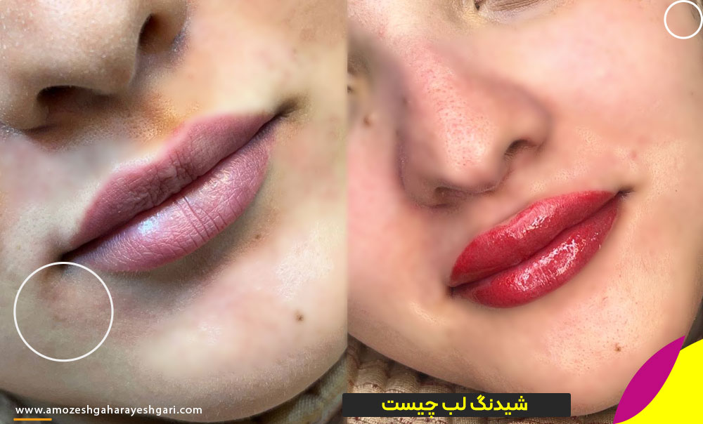 شیدینگ لب چیست