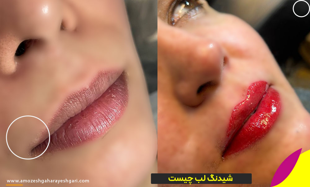 ماندگاری شیدینگ لب
