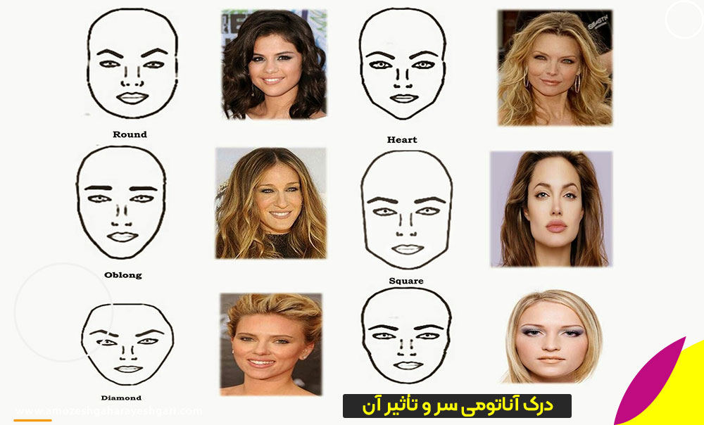 درک آناتومی سر و تأثیر آن بر تکنیک‌های کوتاهی