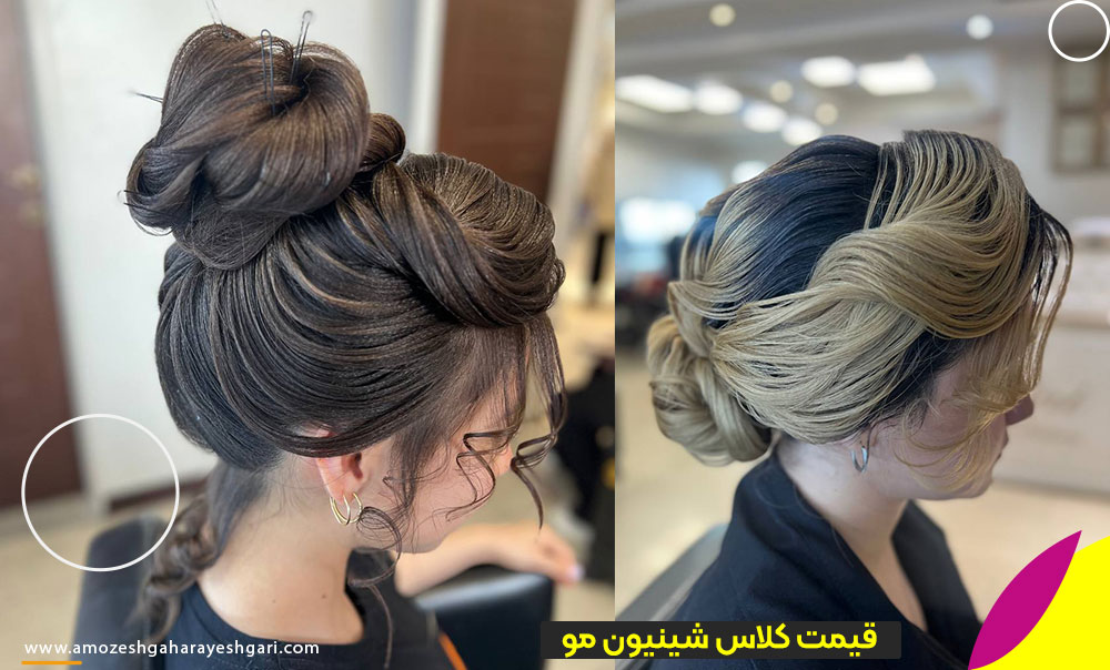 راهنمای انتخاب بهترین دوره شینیون مو