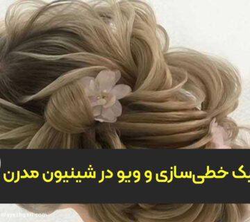 تکنیک خطی‌سازی و ویو در شینیون مدرن